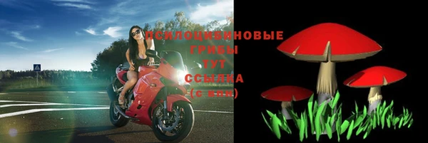 герыч Арсеньев