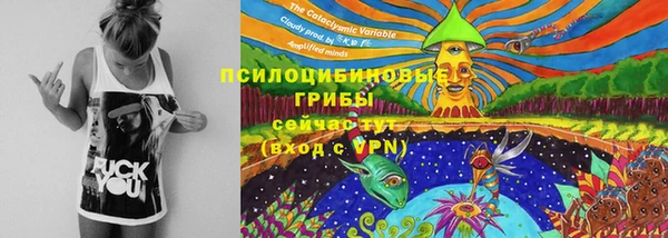 прущий лед Аркадак