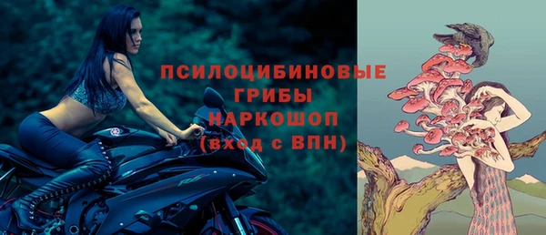 герыч Арсеньев