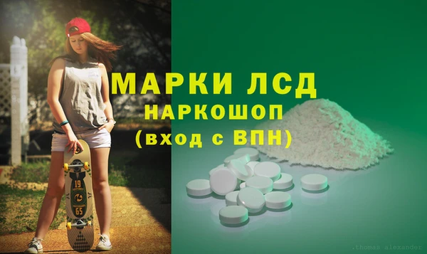 мдпв Рославль