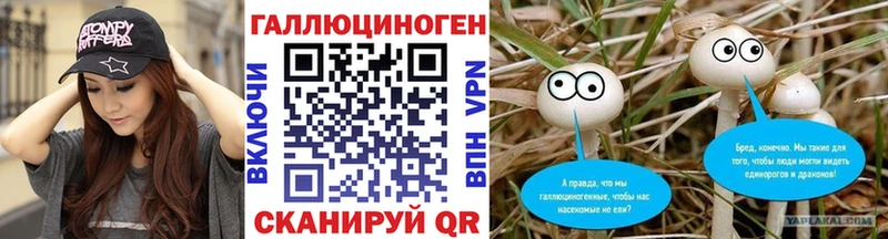 Галлюциногенные грибы Psilocybe купить сайты Армянск